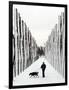 A Russian Girl Walks Her Dog-null-Framed Photographic Print