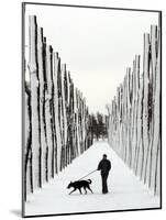 A Russian Girl Walks Her Dog-null-Mounted Photographic Print