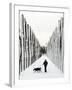 A Russian Girl Walks Her Dog-null-Framed Photographic Print