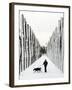 A Russian Girl Walks Her Dog-null-Framed Photographic Print