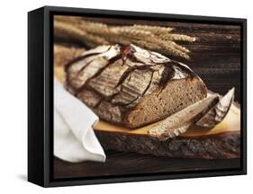 A Rustic Country Loaf on a Slice of Wood-Karl Newedel-Framed Stretched Canvas