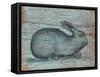 A Rustic Rabbit II-Regina Moore-Framed Stretched Canvas