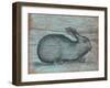 A Rustic Rabbit II-Regina Moore-Framed Art Print