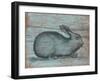 A Rustic Rabbit II-Regina Moore-Framed Art Print