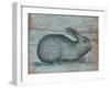 A Rustic Rabbit II-Regina Moore-Framed Art Print