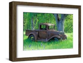 A Rusting 1931 Ford Pickup Truck Sitting in a Field under an Oak Tree-John Alves-Framed Photographic Print