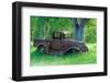 A Rusting 1931 Ford Pickup Truck Sitting in a Field under an Oak Tree-John Alves-Framed Photographic Print