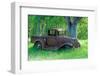 A Rusting 1931 Ford Pickup Truck Sitting in a Field under an Oak Tree-John Alves-Framed Photographic Print