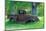 A Rusting 1931 Ford Pickup Truck Sitting in a Field under an Oak Tree-John Alves-Mounted Photographic Print