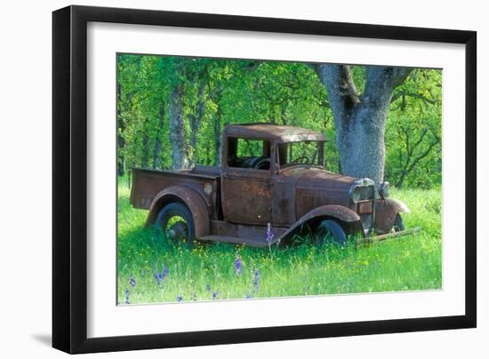 A Rusting 1931 Ford Pickup Truck Sitting in a Field under an Oak Tree-John Alves-Framed Photographic Print