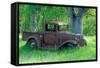 A Rusting 1931 Ford Pickup Truck Sitting in a Field under an Oak Tree-John Alves-Framed Stretched Canvas