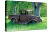 A Rusting 1931 Ford Pickup Truck Sitting in a Field under an Oak Tree-John Alves-Stretched Canvas