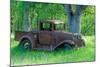 A Rusting 1931 Ford Pickup Truck Sitting in a Field under an Oak Tree-John Alves-Mounted Photographic Print