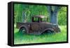 A Rusting 1931 Ford Pickup Truck Sitting in a Field under an Oak Tree-John Alves-Framed Stretched Canvas