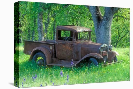A Rusting 1931 Ford Pickup Truck Sitting in a Field under an Oak Tree-John Alves-Stretched Canvas