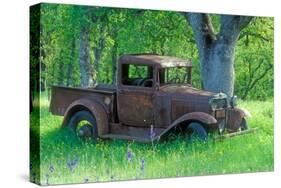 A Rusting 1931 Ford Pickup Truck Sitting in a Field under an Oak Tree-John Alves-Stretched Canvas