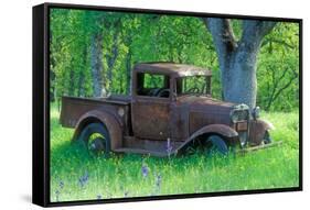 A Rusting 1931 Ford Pickup Truck Sitting in a Field under an Oak Tree-John Alves-Framed Stretched Canvas