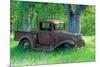 A Rusting 1931 Ford Pickup Truck Sitting in a Field under an Oak Tree-John Alves-Mounted Photographic Print