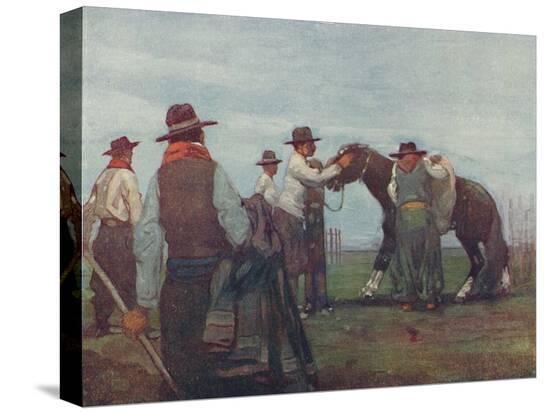 Stretched Canvas Print, , large