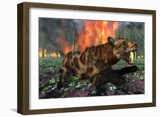 A Saber-Toothed Tiger Running Away from a Forest Fire-null-Framed Premium Giclee Print