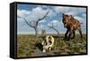 A Sabre Tooth Tiger Discovers a Humanoid Skull-null-Framed Stretched Canvas