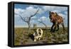 A Sabre Tooth Tiger Discovers a Humanoid Skull-null-Framed Stretched Canvas