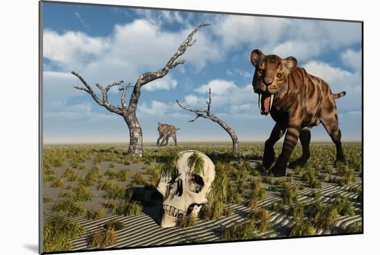 A Sabre Tooth Tiger Discovers a Humanoid Skull-null-Mounted Art Print