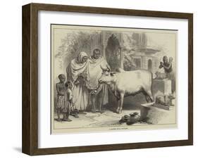 A Sacred Bull, Benares-null-Framed Giclee Print