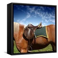 A Saddle on the Horse-olly2-Framed Stretched Canvas