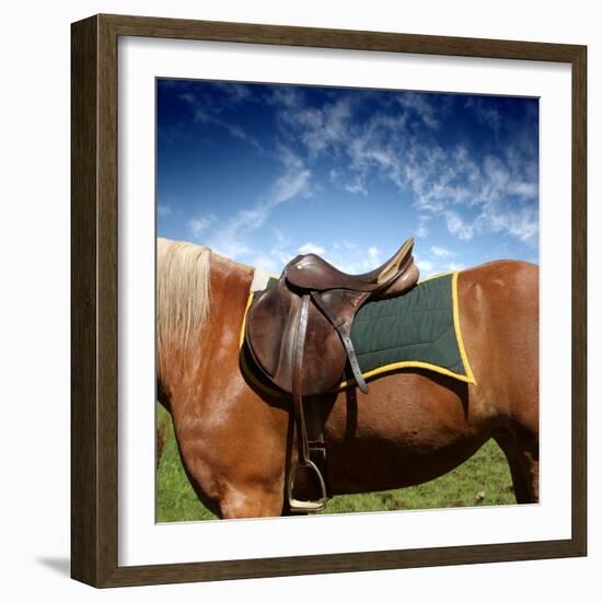 A Saddle on the Horse-olly2-Framed Photographic Print