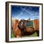 A Saddle on the Horse-olly2-Framed Photographic Print