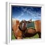 A Saddle on the Horse-olly2-Framed Photographic Print