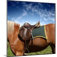 A Saddle on the Horse-olly2-Mounted Photographic Print