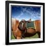 A Saddle on the Horse-olly2-Framed Photographic Print