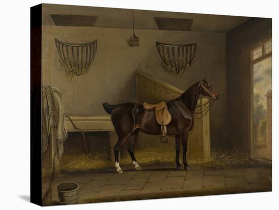 A saddled Bay Hunter in a stable, 1819-Thomas Weaver-Stretched Canvas