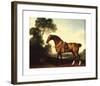 A Saddled Bay Hunter-George Stubbs-Framed Premium Giclee Print