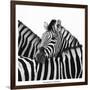 A Safe Place-Nina Papiorek-Framed Art Print