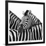 A Safe Place-Nina Papiorek-Framed Art Print