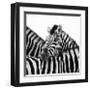 A Safe Place-Nina Papiorek-Framed Giclee Print