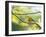 A Saffron Finch, Sicalis Flaveola, Resting in a Tropical Scene in the Atlantic Rainforest-Alex Saberi-Framed Photographic Print