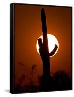 A Saguaro Cactus is Silhouetted as the Sun Sets Over the Southwestern Desert-null-Framed Stretched Canvas
