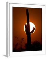 A Saguaro Cactus is Silhouetted as the Sun Sets Over the Southwestern Desert-null-Framed Photographic Print