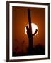 A Saguaro Cactus is Silhouetted as the Sun Sets Over the Southwestern Desert-null-Framed Photographic Print