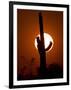 A Saguaro Cactus is Silhouetted as the Sun Sets Over the Southwestern Desert-null-Framed Photographic Print