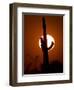 A Saguaro Cactus is Silhouetted as the Sun Sets Over the Southwestern Desert-null-Framed Photographic Print