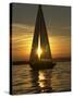 A Sailboat Heads Back to its Mooring-null-Stretched Canvas