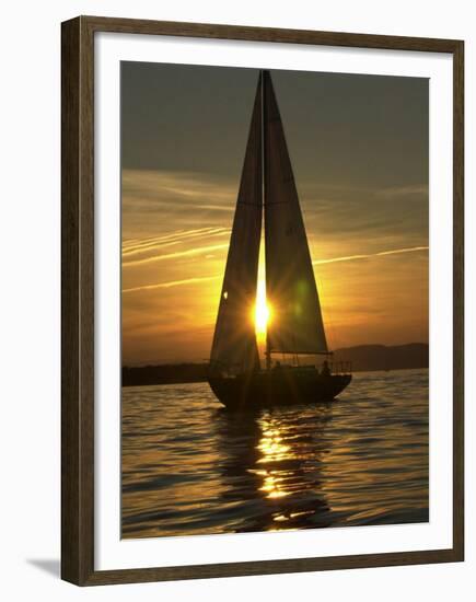 A Sailboat Heads Back to its Mooring-null-Framed Premium Photographic Print