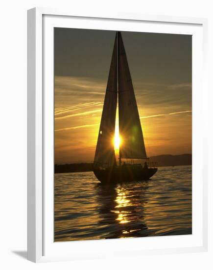 A Sailboat Heads Back to its Mooring-null-Framed Premium Photographic Print