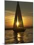 A Sailboat Heads Back to its Mooring-null-Mounted Premium Photographic Print