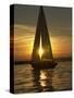 A Sailboat Heads Back to its Mooring-null-Stretched Canvas